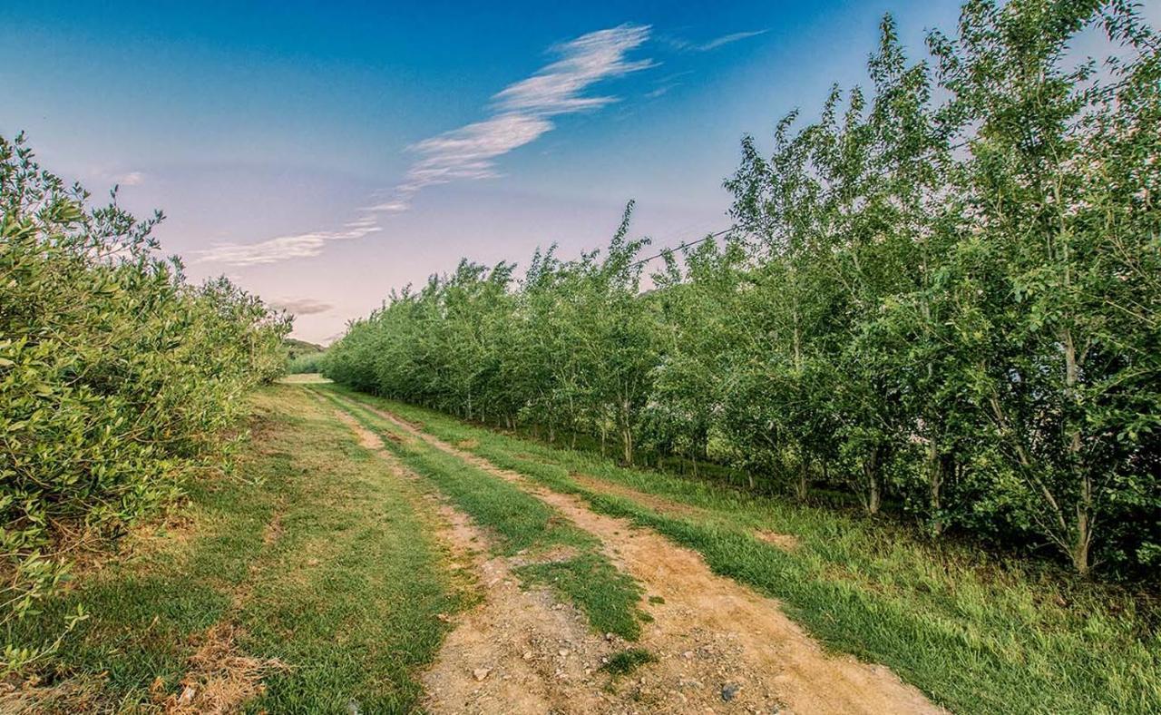 Oudewerfskloof Olive Farm Villa สติลบาย ภายนอก รูปภาพ