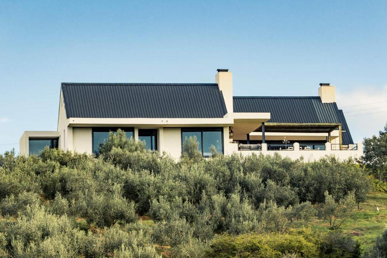 Oudewerfskloof Olive Farm Villa สติลบาย ภายนอก รูปภาพ